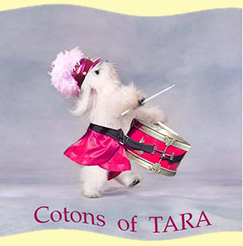 Cotons of Tara